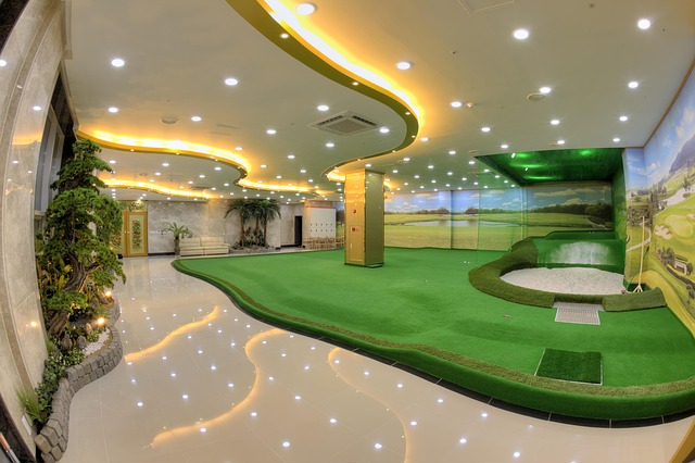 screen-golf-2265263_640