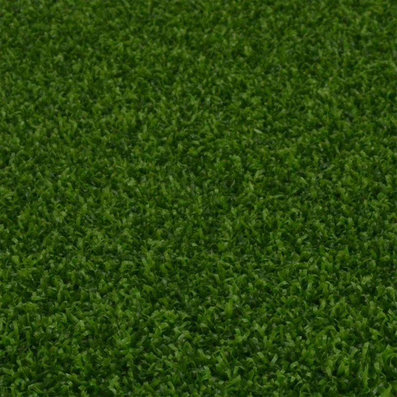 Pro Put  81UF