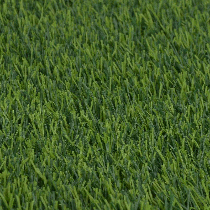 Field 55UF